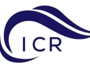 Inshacarpetsrugs.
